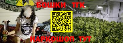 гидра Новодвинск