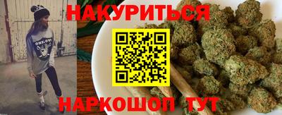 гидра Новодвинск