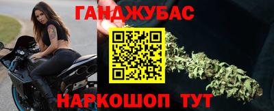гидра Новодвинск