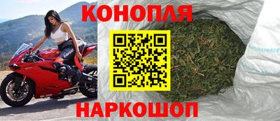 гидра Новодвинск