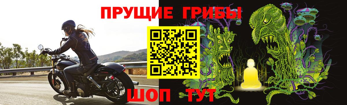 Галлюциногенные грибы мицелий Алатырь